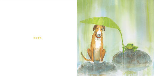 城里狗，乡下蛙 商品图2