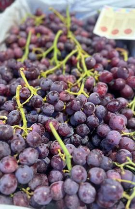 【会员36.5/斤】澳大利亚进口甜蜜庆典无籽红提