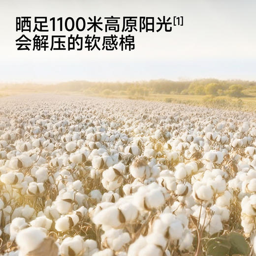 【商场同款】英氏婴儿连体衣夏新款男宝短袖哈衣宝宝爬服外出 商品图2