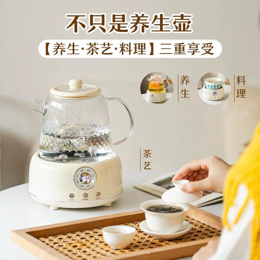 树可知心恒温养生壶1600ml茶白 DSJ11486 商品图0