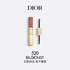 【香港仓】】DIOR/迪奥双效闪亮唇釉11ml  配礼袋（有效期至：2028年7月）） 商品缩略图1