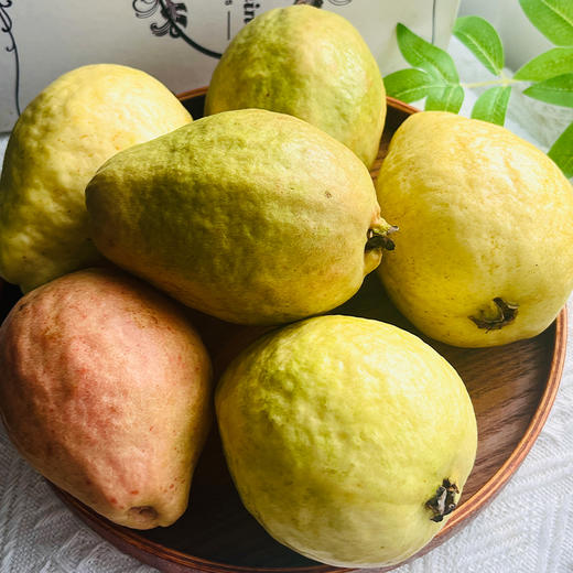 【潮汕双色芭乐】产自广东汕头，轻食界新宠，外皮清薄通透，脆软两吃，软糯温润 商品图4