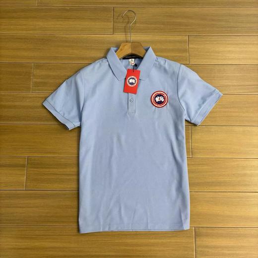 F0320101珠地棉简单大方穿着方便商务休闲正肩短袖T恤POLO衫 商品图5