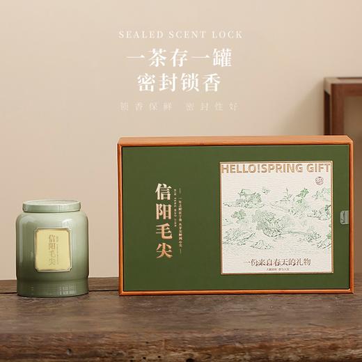 春天的礼物【绿.2瓷毛尖】55元1套.整箱8套 商品图1