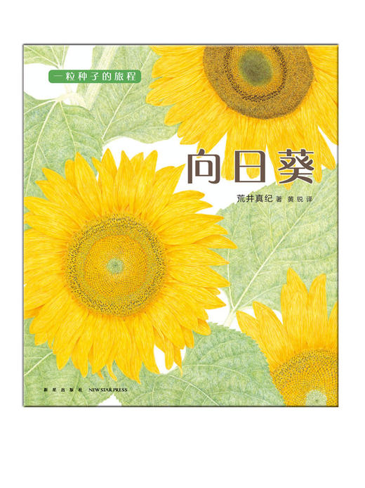 一粒种子的旅程 定制版 商品图1