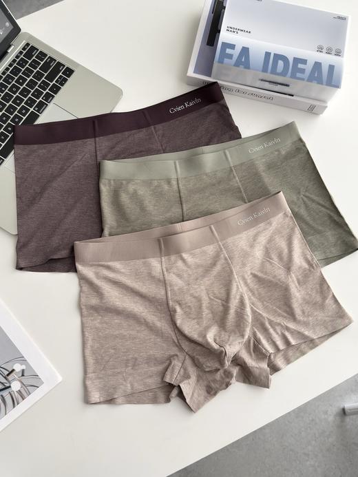 二店z 【一组3条】是蚕丝底裆哦！Cvien•k60S兰精莫代尔一片式无痕男内裤 商品图6