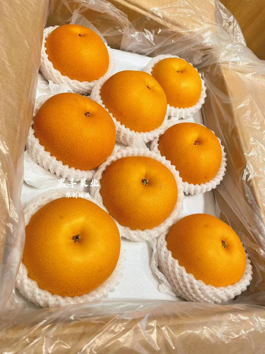 宏丰精选 秋月梨 脆甜爽口 水分很足，活动价12.8元一斤 商品图5