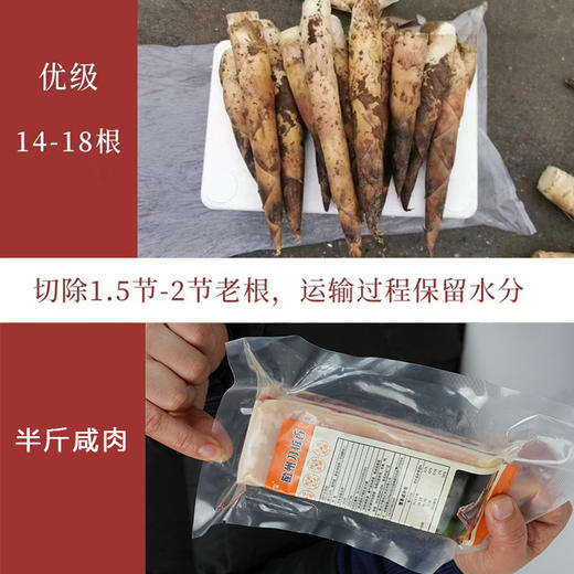【产地京东直发】头茬天目山九狮村春笋 4斤 商品图10
