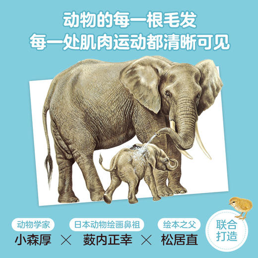 动物宝宝和妈妈（全7册） 商品图2