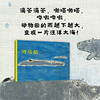 河马船 松居直打造儿童之友绘本 商品缩略图0