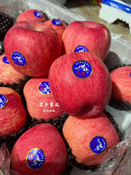 【宏丰精选】灵宝雪艳苹果，皮薄脆甜，纯甜苹果 活动价12.8元一斤 商品图2