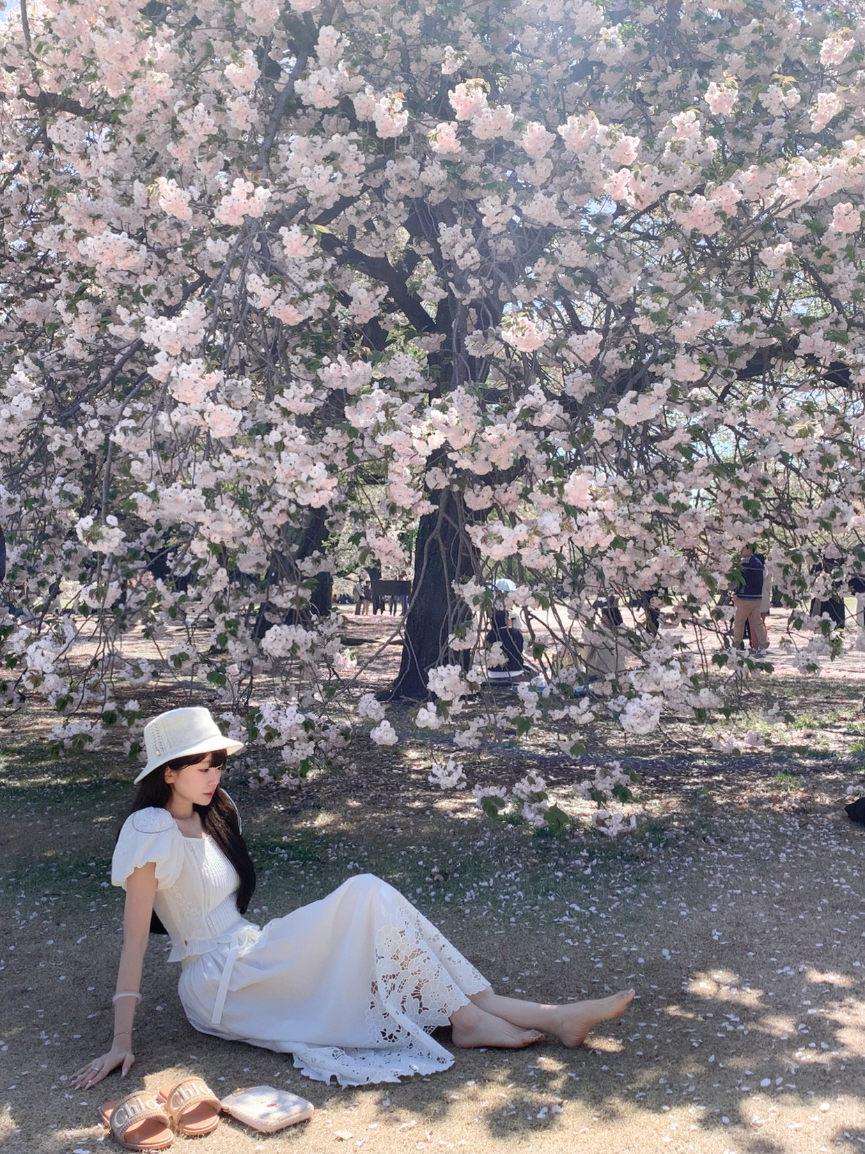 金蘑菇菇 小步圆舞曲 / 招牌100棉刺绣 上衣&套装