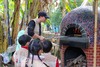 【窑烤披萨半日独立营】番茄探秘、窑烤披萨、摘鲜果、学扦插，解锁自然新技能，4岁+就可参加！ 商品缩略图4