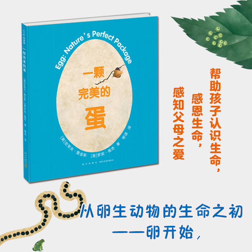 【詹金斯作品专场满49包邮】一颗的蛋 商品图3