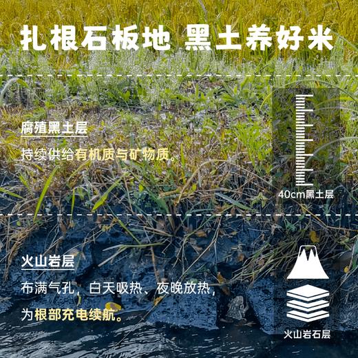 【2025年秋收】谦益香畴石板米1斤/5斤 牡丹江火山岩稻田 自然农耕 口感香甜软弹有回甘  冷饭不回生  宝宝爱吃饭 妈妈不操心 商品图1