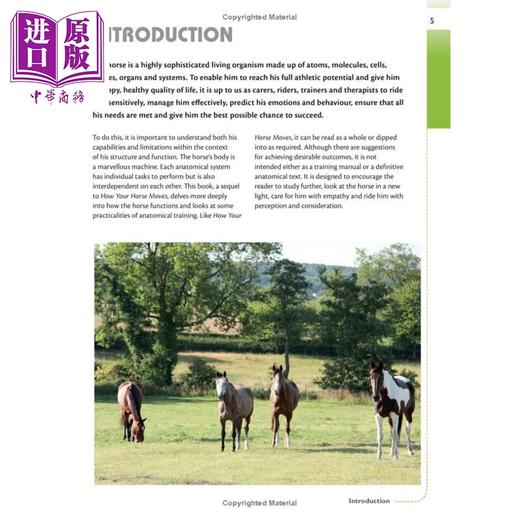 预售 【中商原版】马匹解剖学与运动表现 训练 骑乘和马匹护理实用指南Horse Anatomy for Performance 英文原版 Gillian Higgins 商品图4
