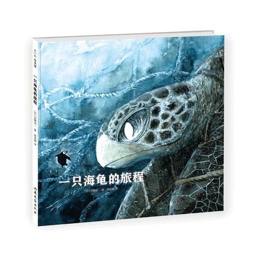 一只海龟的旅程（日本知名动物画家河崎俊一作品） 商品图3