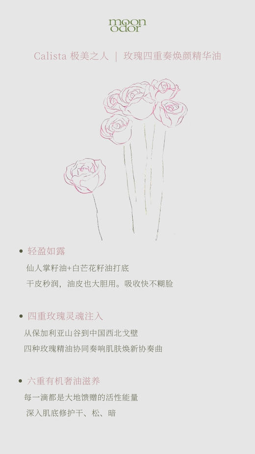 Calista 极美之人  |  玫瑰四重奏焕颜精华油 商品图3