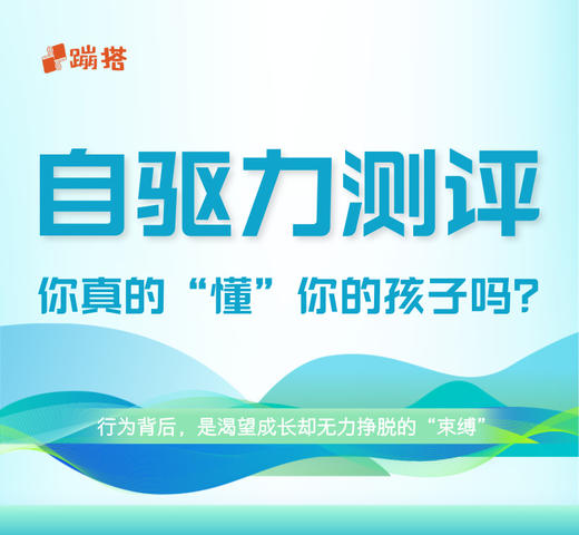 自驱力测评 商品图0