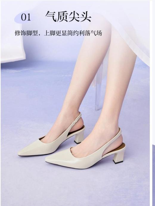 2楼联域百思图通勤女鞋(B2610) 商品图2