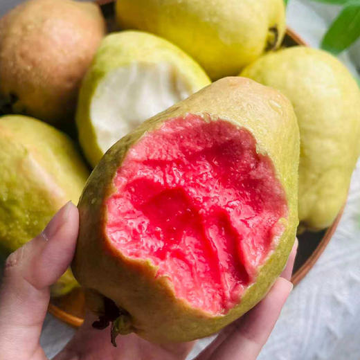 【潮汕双色芭乐】产自广东汕头，轻食界新宠，外皮清薄通透，脆软两吃，软糯温润 商品图2