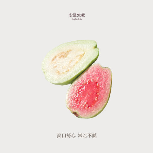 【豆豆LAB】红白心芭乐双拼  软硬双吃  5斤礼盒 商品图1