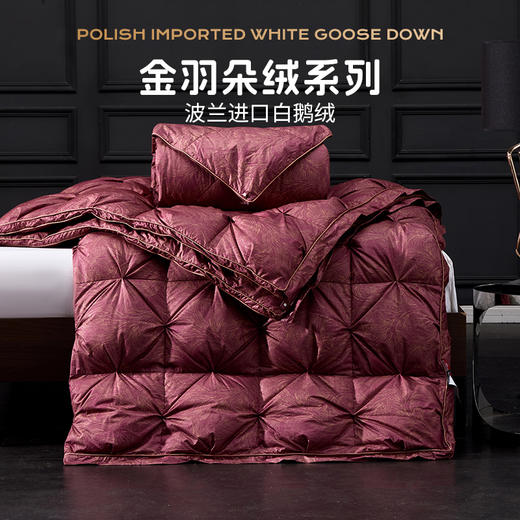 多喜爱 金羽朵95进口白鹅绒子母被-禧韵东方【100支长绒棉面料】【95%绒子含量】【波兰进口】【1000+绒子洁净度】【可套被头】【皮箱包装】【拉链设计】【3D航空仓】【10cm检测口】匠人手工挑选 商品图1