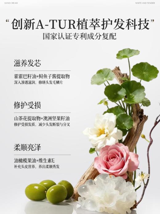 【79任选3件】透真柔顺香氛护发精油喷雾（水蜜桃香）100ml 商品图4