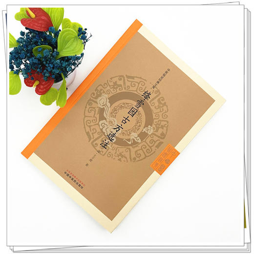 绛雪园古方选注（清）王子接 著（中医临证经典文库）中国中医药出版社 明清中医临证小丛书 古典医籍 书籍 商品图1