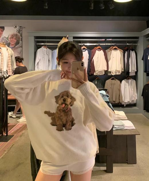 F032041春季新款男女同款提花金毛小狗圆领针织长袖毛衣 商品图10