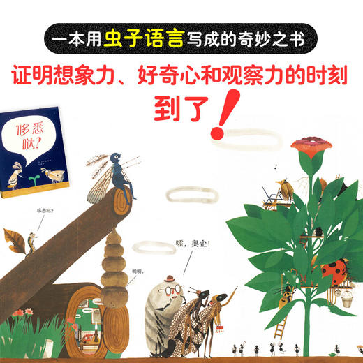 哆悉哒？一本用虫子语言写成的书 商品图2