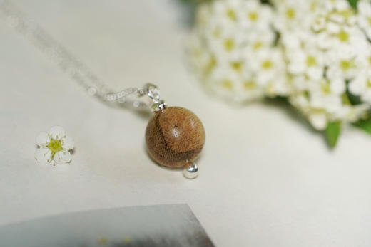 路路通｜天然野生沉香 商品图10