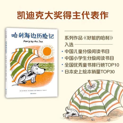 哈利海边历险记 商品图1