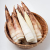 【产地京东直发】头茬天目山九狮村春笋 4斤 商品缩略图4