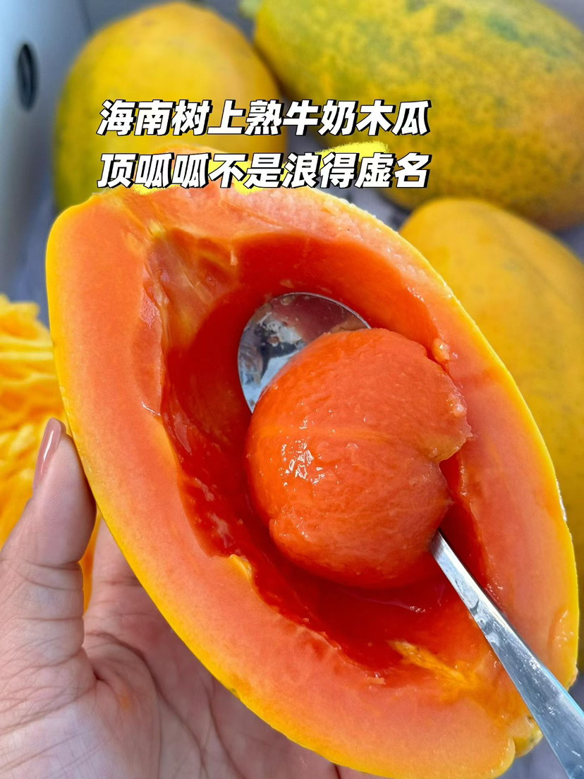 海南树熟蜂糖木瓜