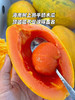 海南树熟蜂糖木瓜 商品缩略图0