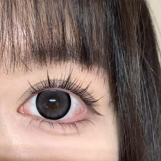 新品月抛大直径-Macycon-可爱比熊-萌萌贵宾-芝士小狗-14.5mm【月抛 0-800度 不含525/575】 商品图7