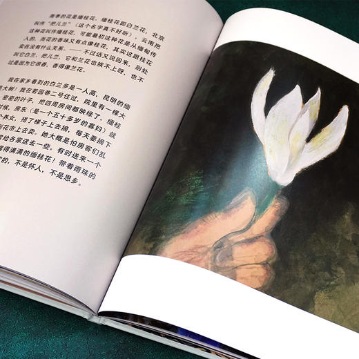 昆明的雨 汪曾祺名篇绘本被选入语文课本 著名画家法兰西文学艺术骑士勋章获得者李昆武绘制精美插图 商品图6