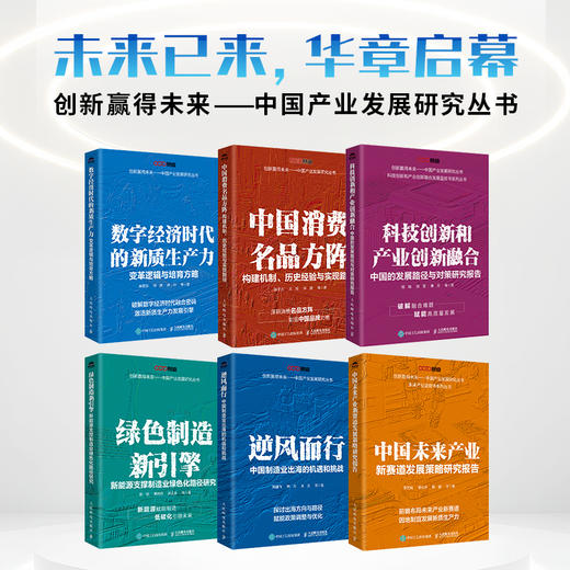 数字经济时代的新质生产力：变革逻辑与培育方略 数字经济新质生产力理论实践政策研究书籍 商品图4