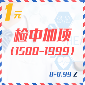 检中加项（1500-1999  8-8.99Z）