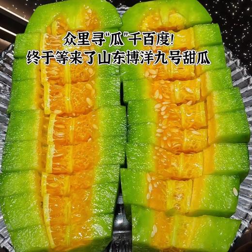 【山东博洋9号】包甜，头茬甜瓜，新鲜当季水果，香瓜蜜瓜羊角脆，产地直发 商品图3