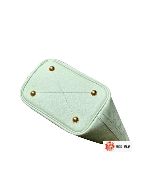 小号Blossom手袋斜挎包lv 商品图2