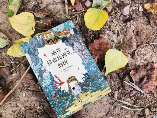 通往特雷比西亚的桥 获纽伯瑞儿童文学奖金奖 商品图0