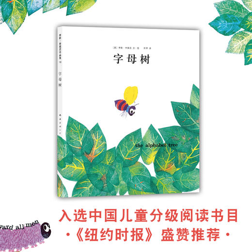 字母树（2017版） 商品图2