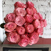 玫瑰.和弦 商品缩略图0
