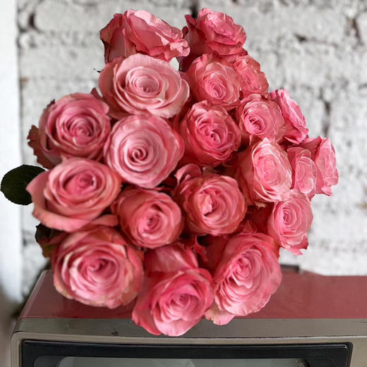 玫瑰.和弦 商品图0