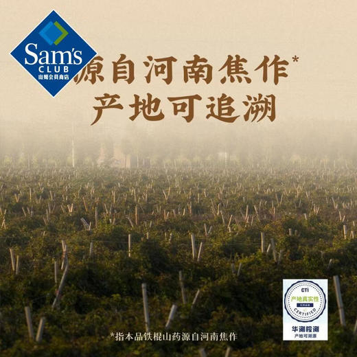 【山姆限定】无熏硫 铁棍山药片 100g/小袋 商品图3