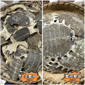 鳖甲 生鳖甲    敲成小块 干净