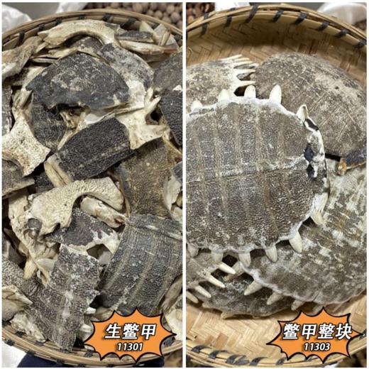鳖甲 生鳖甲    敲成小块 干净 商品图0