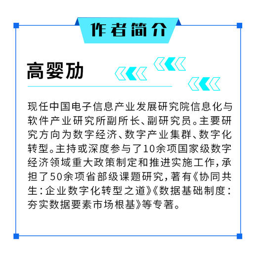 数字经济时代的新质生产力：变革逻辑与培育方略 数字经济新质生产力理论实践政策研究书籍 商品图3
